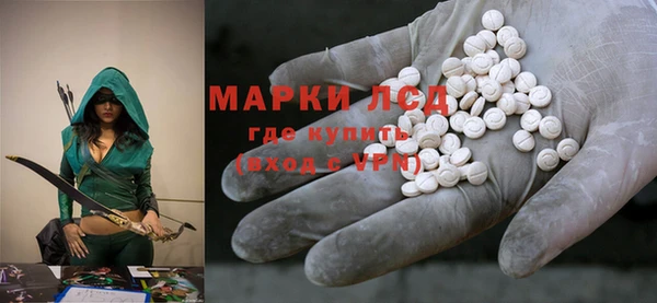 PSILOCYBIN Алзамай