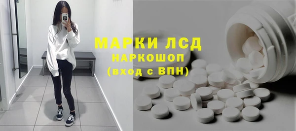 PSILOCYBIN Алзамай