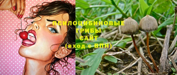 PSILOCYBIN Алзамай
