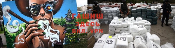 PSILOCYBIN Алзамай