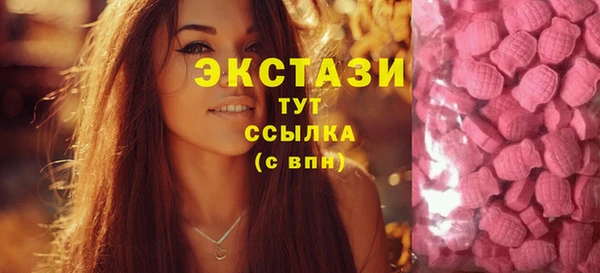 PSILOCYBIN Алзамай