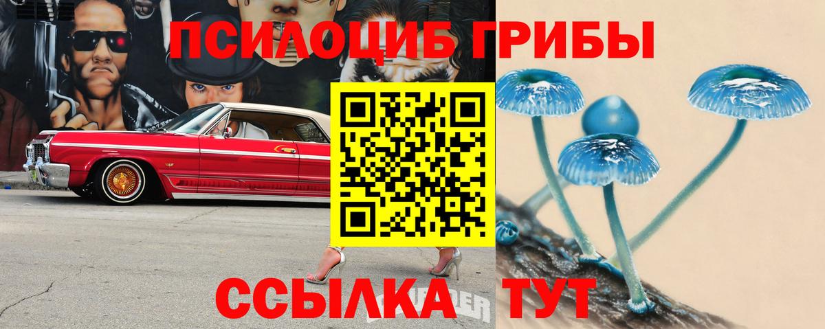 Галлюциногенные грибы мицелий Ачинск