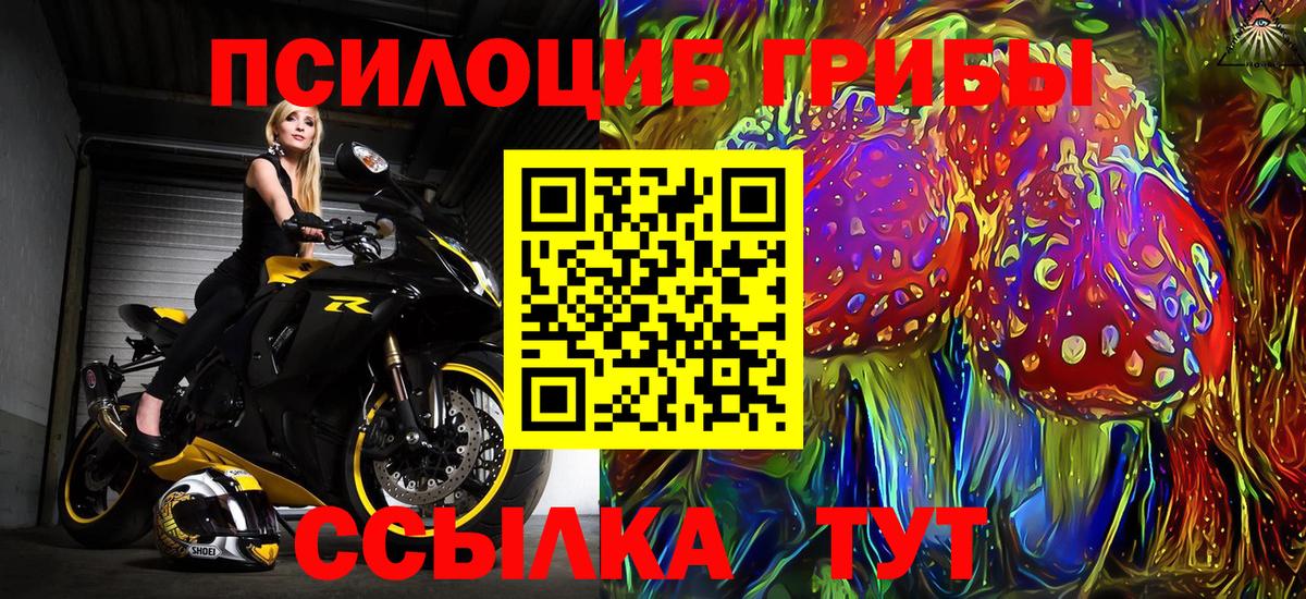 Галлюциногенные грибы Cubensis  Галлюциногенные грибы Magic Shrooms  где найти   Ачинск  Вход с VPN 