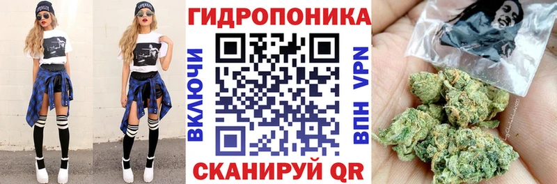 кракен рабочий сайт  Ачинск  Конопля White Widow 